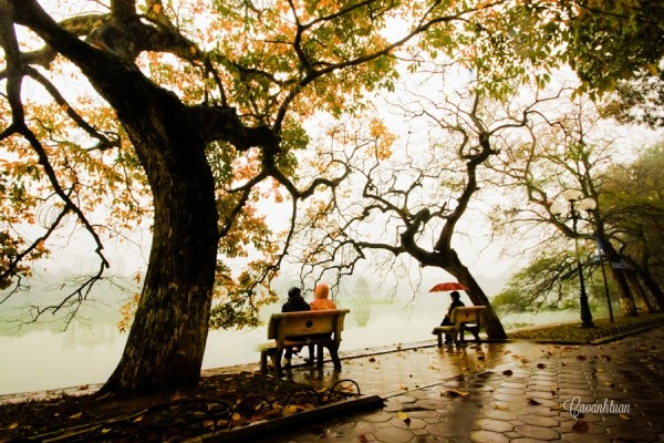 autumn in Hanoi