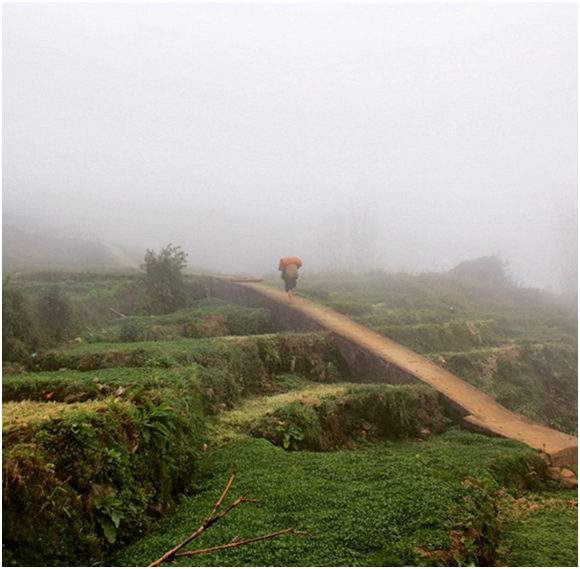 Vietnam Travel