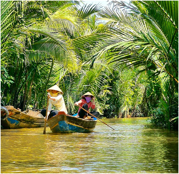 Vietnam Travel