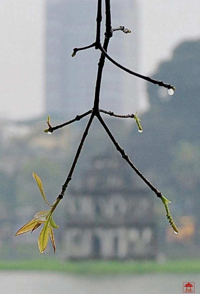 Hoan Kiem Lake