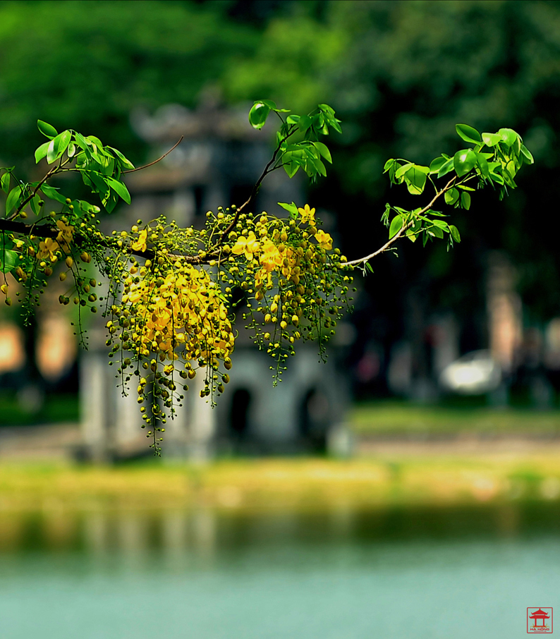 Hoan Kiem Lake