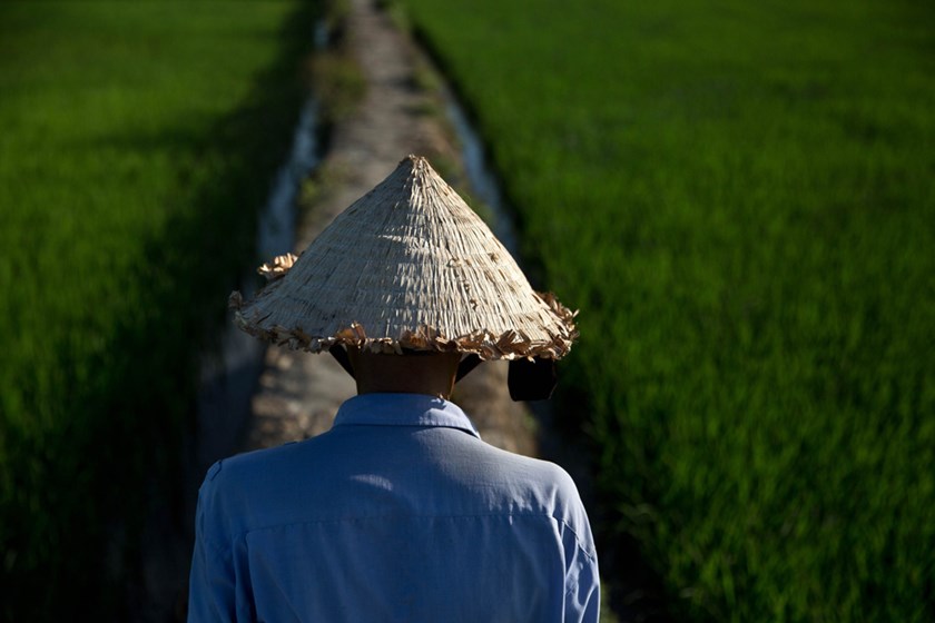 Hoi An Ancient Town