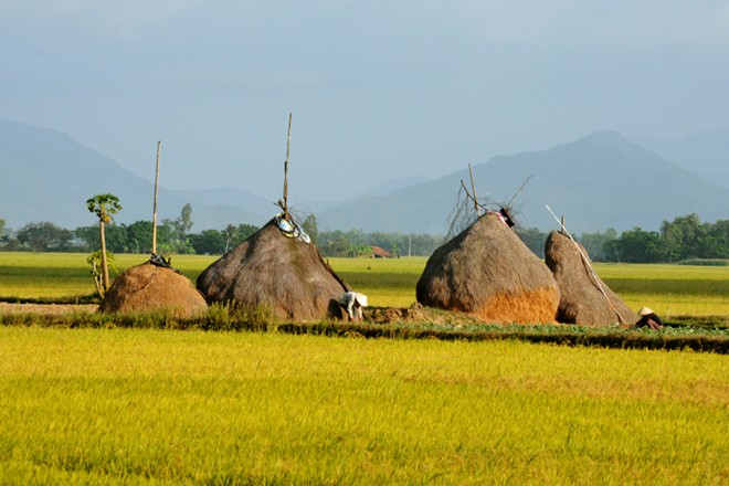 the beauty of Phu Yen