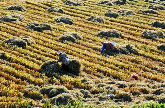 the beauty of Phu Yen