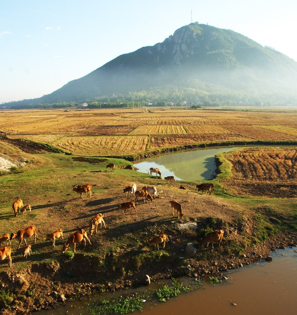 the beauty of Phu Yen